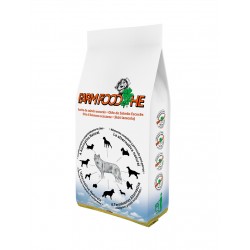 pienso de salmón para perros