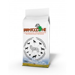 pienso salmón perros