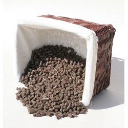 pienso de salmón para los perros