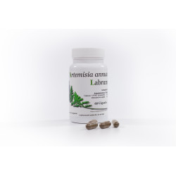 Artemisia Annua Labrum eco