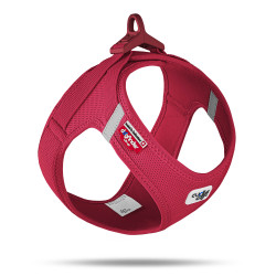 Arnés Curli para perros pequeños color rojo