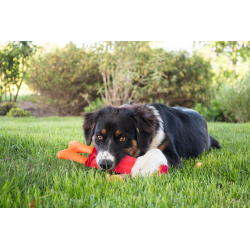 juguete para perros resistente rojo Hozies Jeffrey Jungle