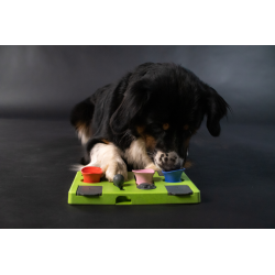 juguete puzzle para perros