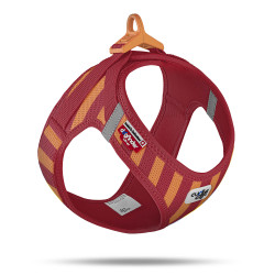 Curli Arnés CLASP LE26...