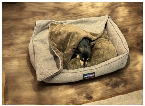 Camas para perros Mykonos 3en1