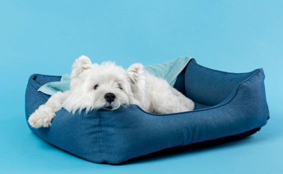 Secado completo en camas para perros