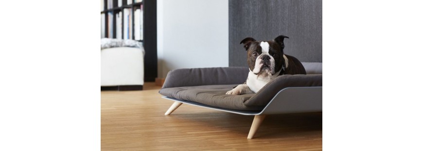 ▷ Como encontrar las mejores camas para perros