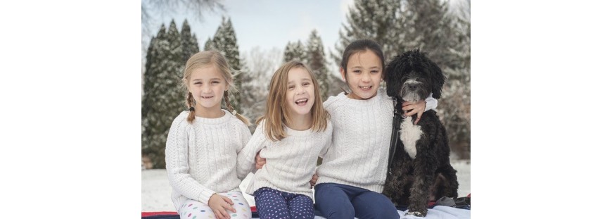 3 libros sobre perros para regalar a los niños