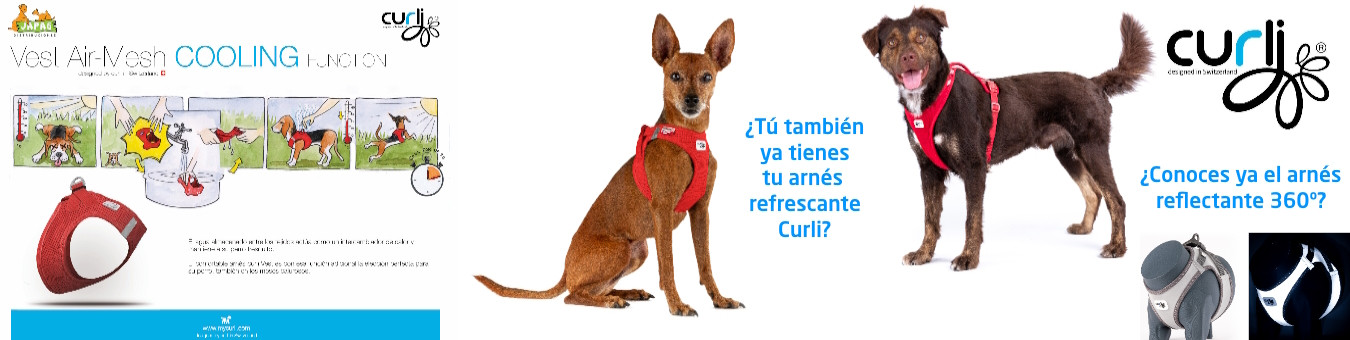 Los mejores arneses del mercado 